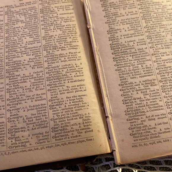 Websters Common School English Dictionary 1881 - Picture 6 of 6